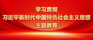 操死你这个骚货视频学习贯彻习近平新时代中国特色社会主义思想主题教育_fororder_ad-371X160(2)